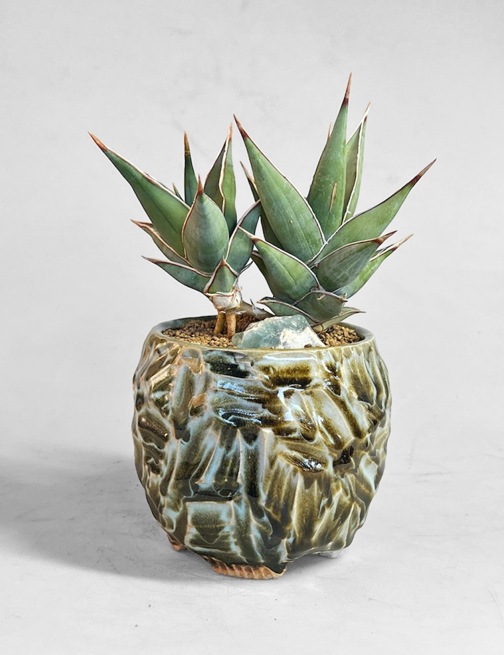 Pineapple planter