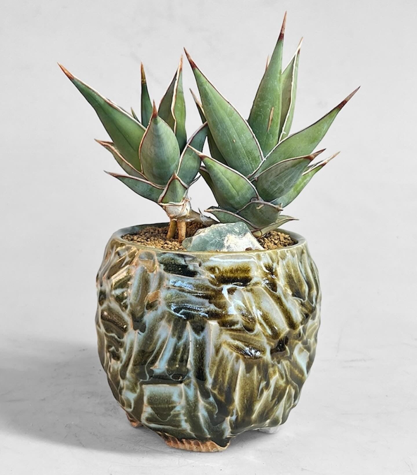 Pineapple planter